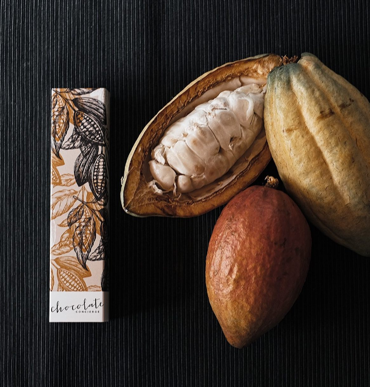 The Sacred Journey of Cacao & Chocolate: From Ancient Civilizations to Modern Luxury